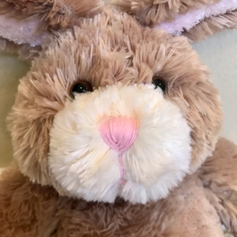 Build A Bear Bunny - Picture 2 of 7